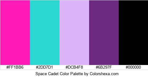 Space Cadet Color Colors Logo