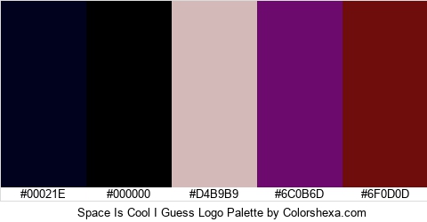 Space Is Cool I Guess Logo Colors Logo