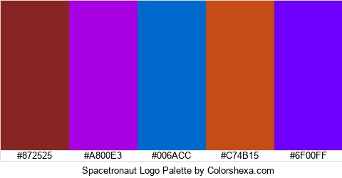 Spacetronaut Logo Colors Logo