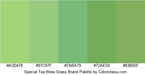 Special Tea Brew Grass Brand Colors Logo