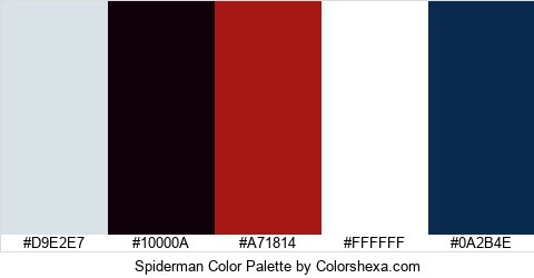 Spiderman Color Colors Logo