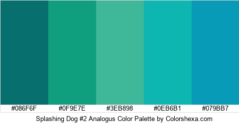Splashing Dog #2 Analogus Color Colors Logo