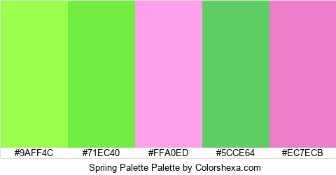 Spriing Palette Colors Logo