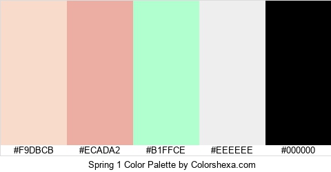 Spring 1 Color Colors Logo