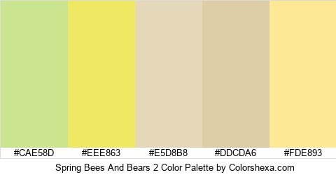 Spring Bees And Bears 2 Color Colors Logo