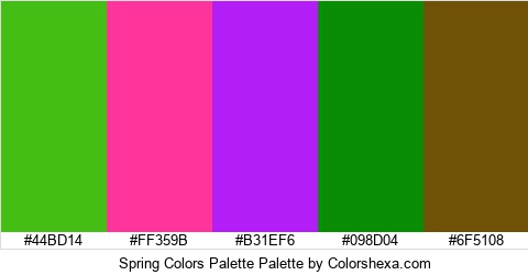 Spring Colors Palette Colors Logo
