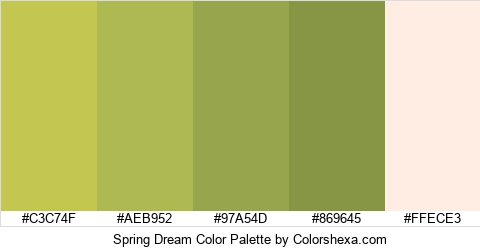 Spring Dream Color Colors Logo