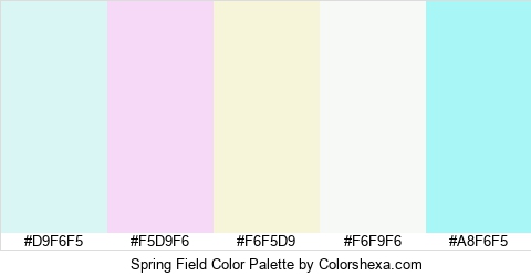 Spring Field Color Colors Logo