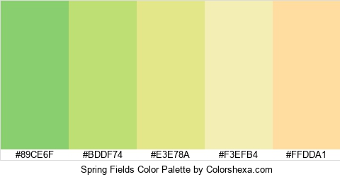 Spring Fields Color Colors Logo