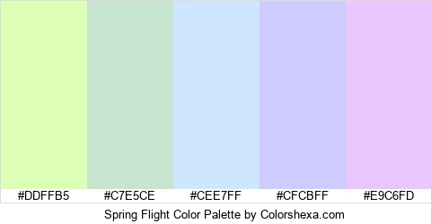 Spring Flight Color Colors Logo