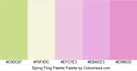 Spring Fling Palette Colors Logo