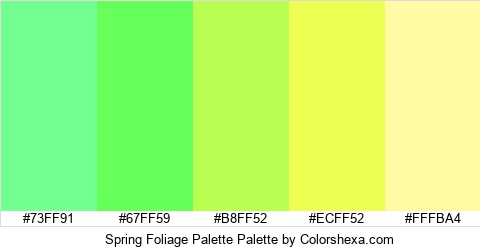 Spring Foliage Palette Colors Logo