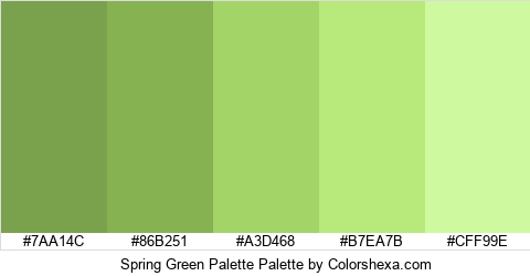 Spring Green Palette Colors Logo