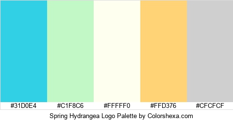 Spring Hydrangea Logo Colors Logo