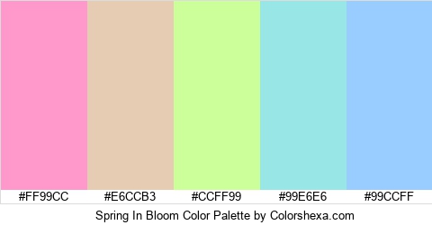 Spring In Bloom Color Colors Logo