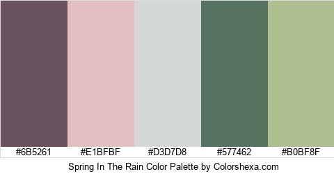 Spring In The Rain Color Colors Logo