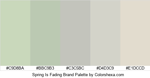 Spring Is Fading Brand Colors Logo