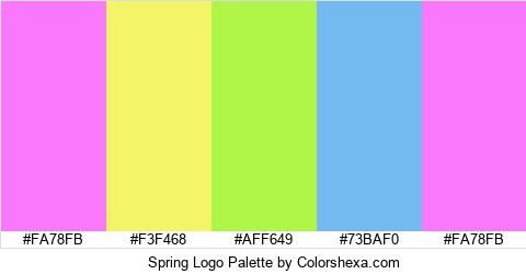 Spring Logo Colors Logo