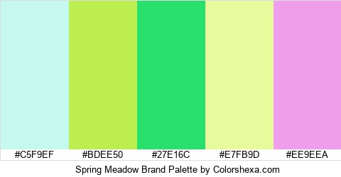 Spring Meadow Brand Colors Logo