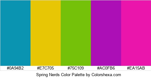 Spring Nerds Color Colors Logo