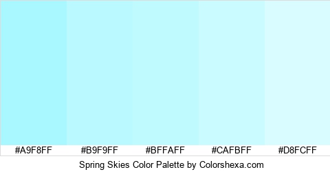 Spring Skies Color Colors Logo