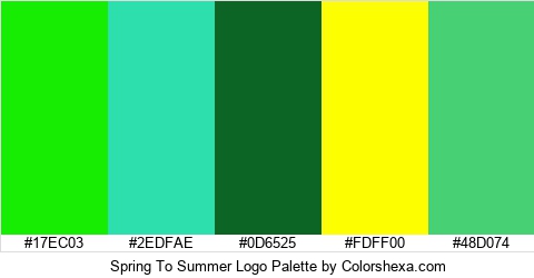 Spring To Summer Logo Colors Logo