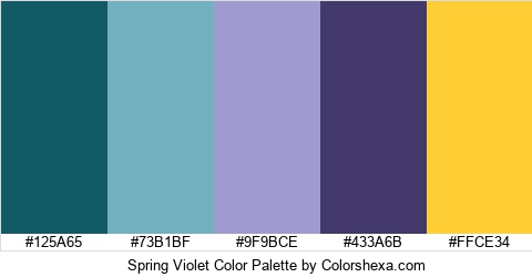 Spring Violet Color Colors Logo