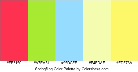 Springfling Color Colors Logo
