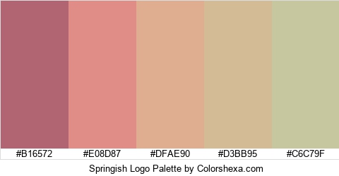 Springish Logo Colors Logo