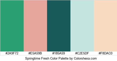 Springtime Fresh Color Colors Logo
