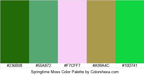 Springtime Moss Color Colors Logo