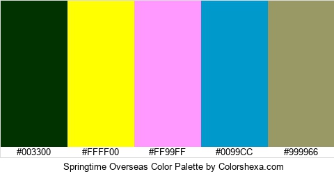 Springtime Overseas Color Colors Logo