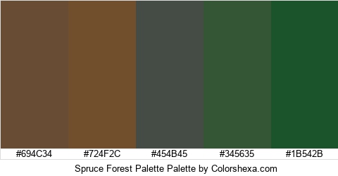 Spruce Forest Palette Colors Logo