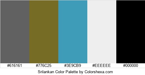 Srilankan Color Colors Logo