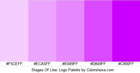 Stages Of Lilac Logo Colors Logo