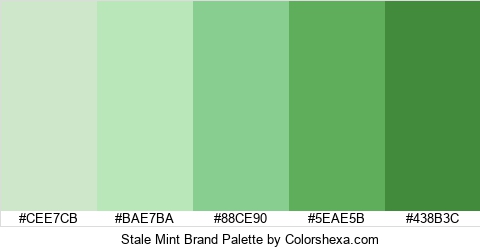 Stale Mint Brand Colors Logo