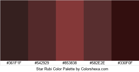 Star Rubi Color Colors Logo