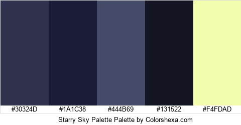 Starry Sky Palette Colors Logo