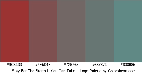 Stay For The Storm If You Can Take It Logo Colors Logo