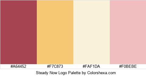 Steady Now Logo Colors Logo