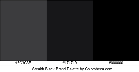 Stealth Black Brand Colors Logo