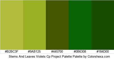 Stems And Leaves Violets Cp Project Palette Colors Logo