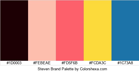 Steven Brand Colors Logo