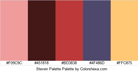 Steven Palette Colors Logo