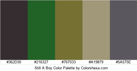 Still A Boy Color Colors Logo