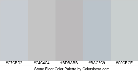 Stone Floor Color Colors Logo
