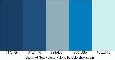 Storm At Sea Palette Colors Logo