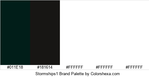 Stormships1 Brand Colors Logo