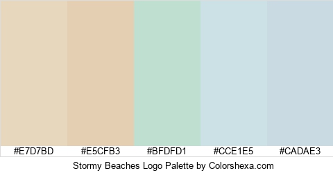 Stormy Beaches Logo Colors Logo