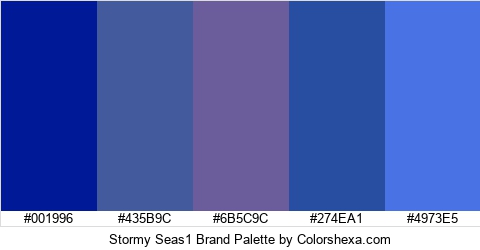 Stormy Seas1 Brand Colors Logo